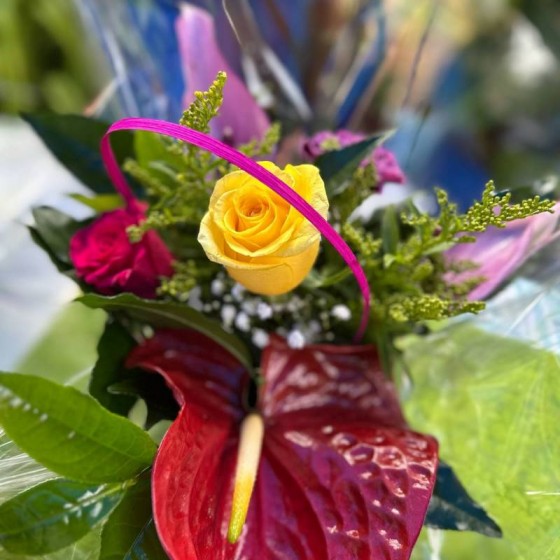 Harmonie Florale